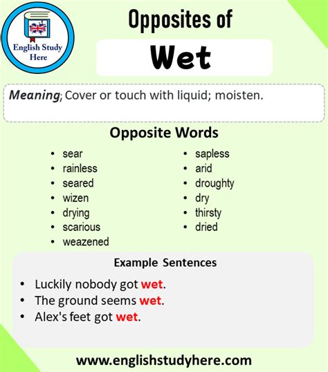 synonym for wet